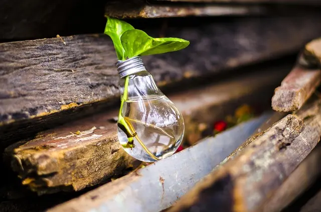 Come Realizzare un Progetto Fai Da Te Sostenibile: Guida Completa