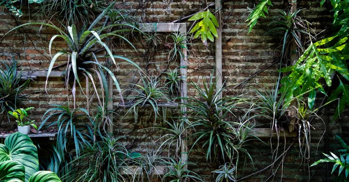 Come Creare un Giardino Verticale Fai Da Te: Guida Completa