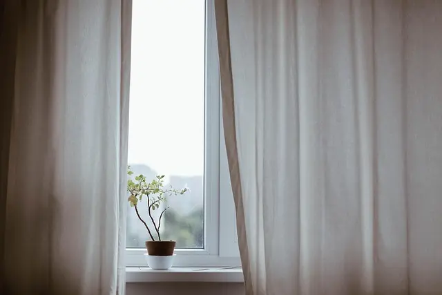 Come Creare un Giardino Verticale Fai Da Te: Guida Completa