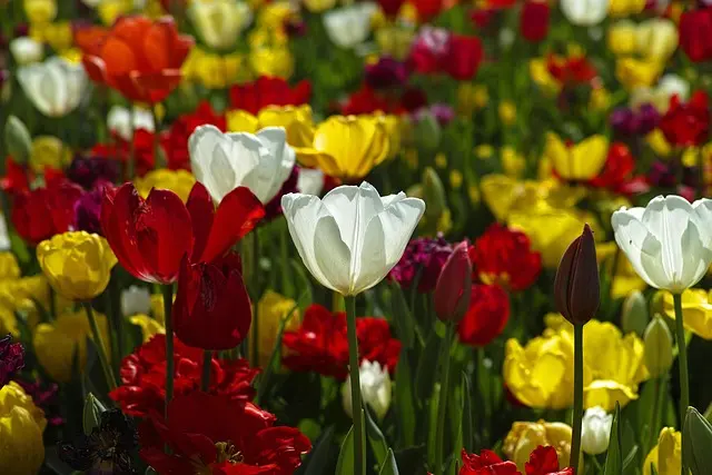 10 Idee Fai Da Te per Abbellire il Tuo Spazio Esterno