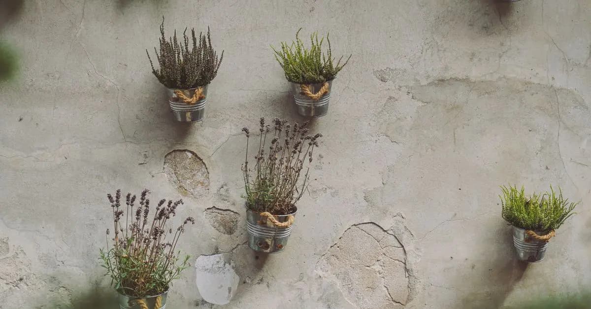 Le Migliori Tendenze Fai Da Te per il Giardino