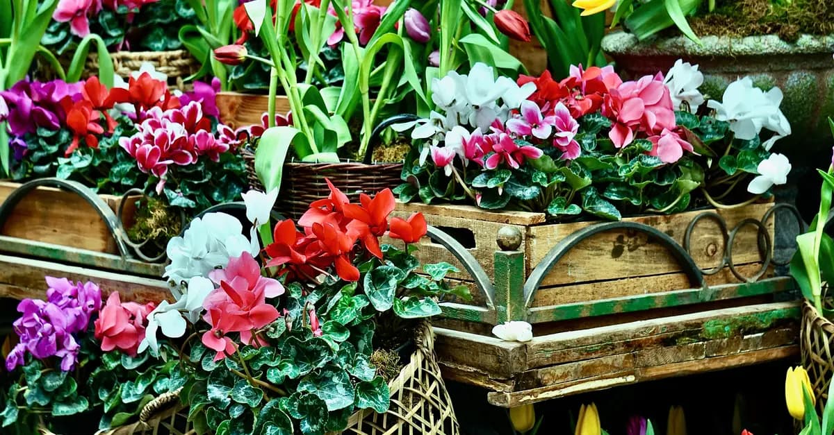 10 Idee Fai Da Te per Creare un Giardino Verticale Sostenibile