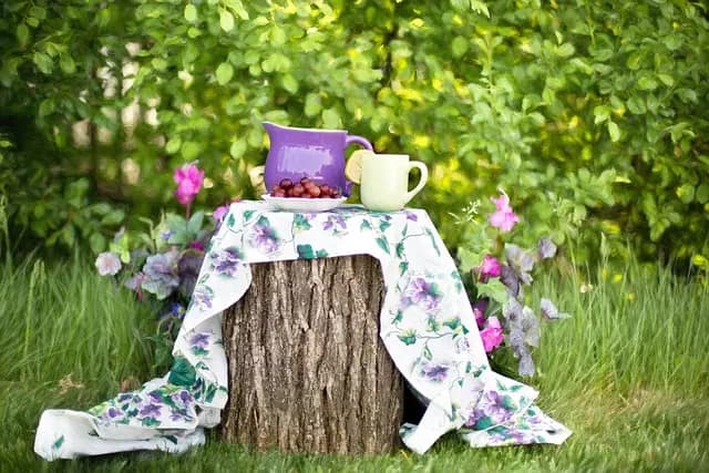 Come Costruire un Giardino Verticale Fai Da Te: Guida Pratica