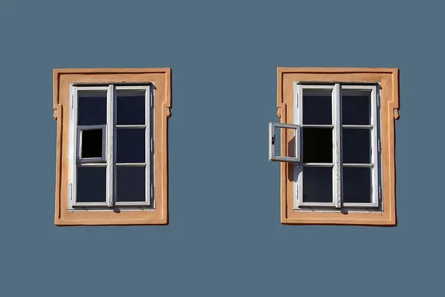Come Costruire un Giardino Verticale Fai Da Te: Guida Pratica