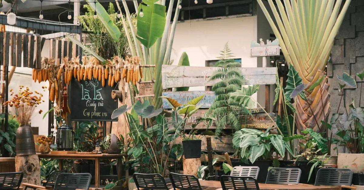 Guida Completa per Costruire un Giardino Verticale Fai Da Te