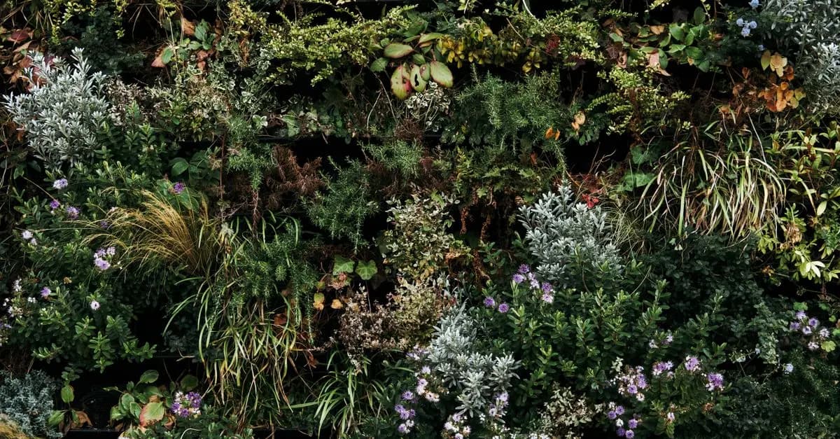 Come Creare un Giardino Verticale Fai Da Te in Pochi Passi