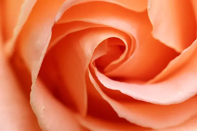 10 Idee Fai Da Te per Abbellire il Tuo Giardino