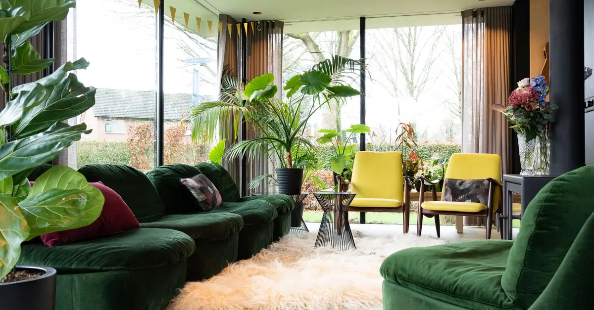 Idee Fai Da Te per Creare un Muro Verde in Casa