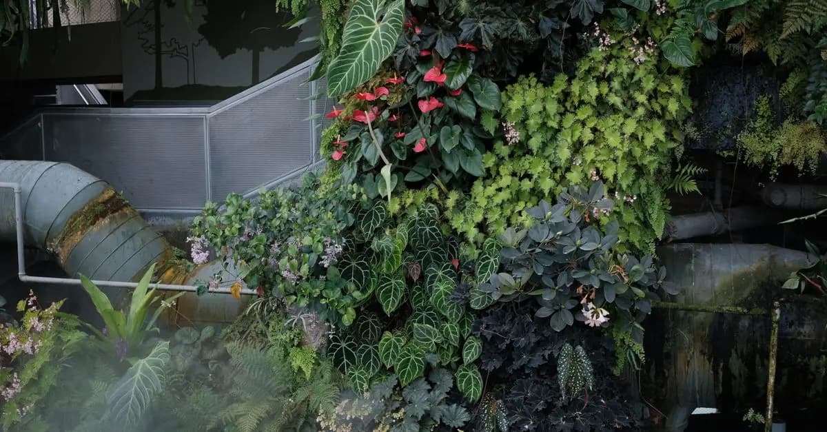 Come Costruire un Giardino Verticale Fai Da Te in Pochi Semplici Passi