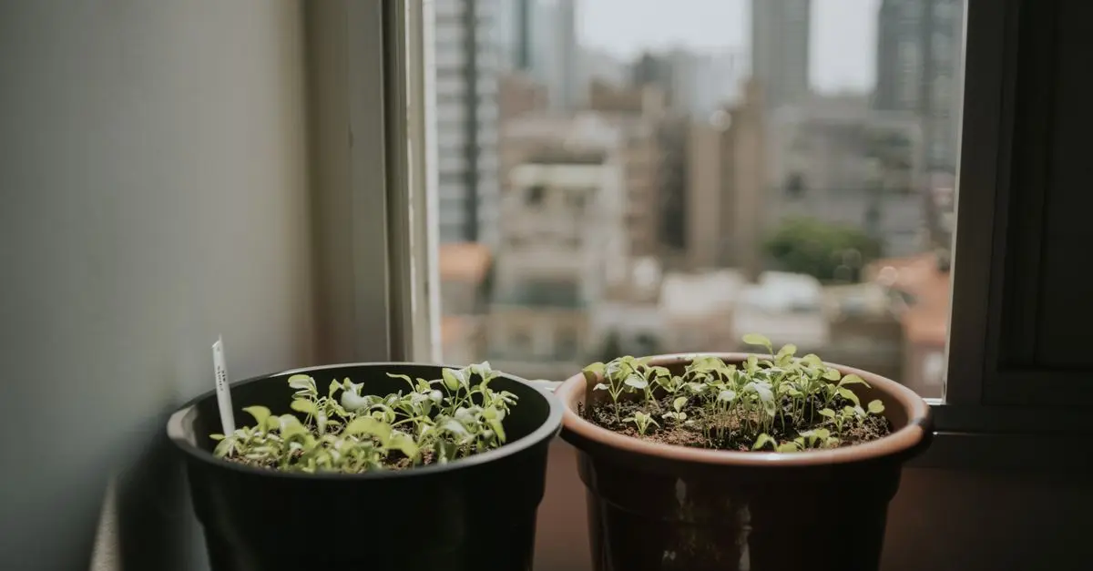 Guida Completa per Costruire un Giardino Verticale Fai Da Te