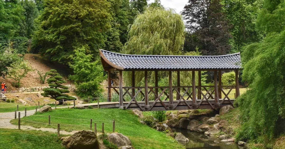 Come Costruire un Ponte in Legno Fai Da Te: Guida Pratica