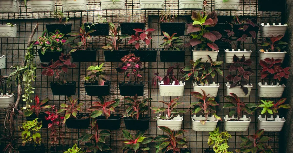 Come Creare un Giardino Verticale Fai Da Te: Guida Completa