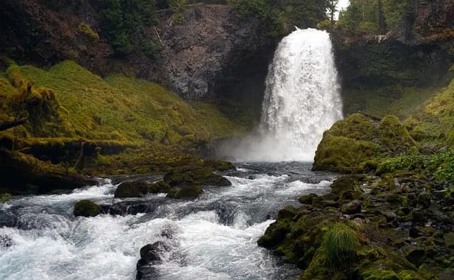 Come Costruire un Muro Verde Fai Da Te: Guida Completa