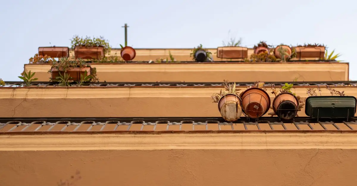 Come Creare un Giardino Verticale Fai Da Te: Guida Completa