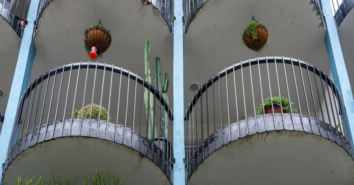 Come Costruire un Orto Verticale Fai Da Te per Spazi Ristetti