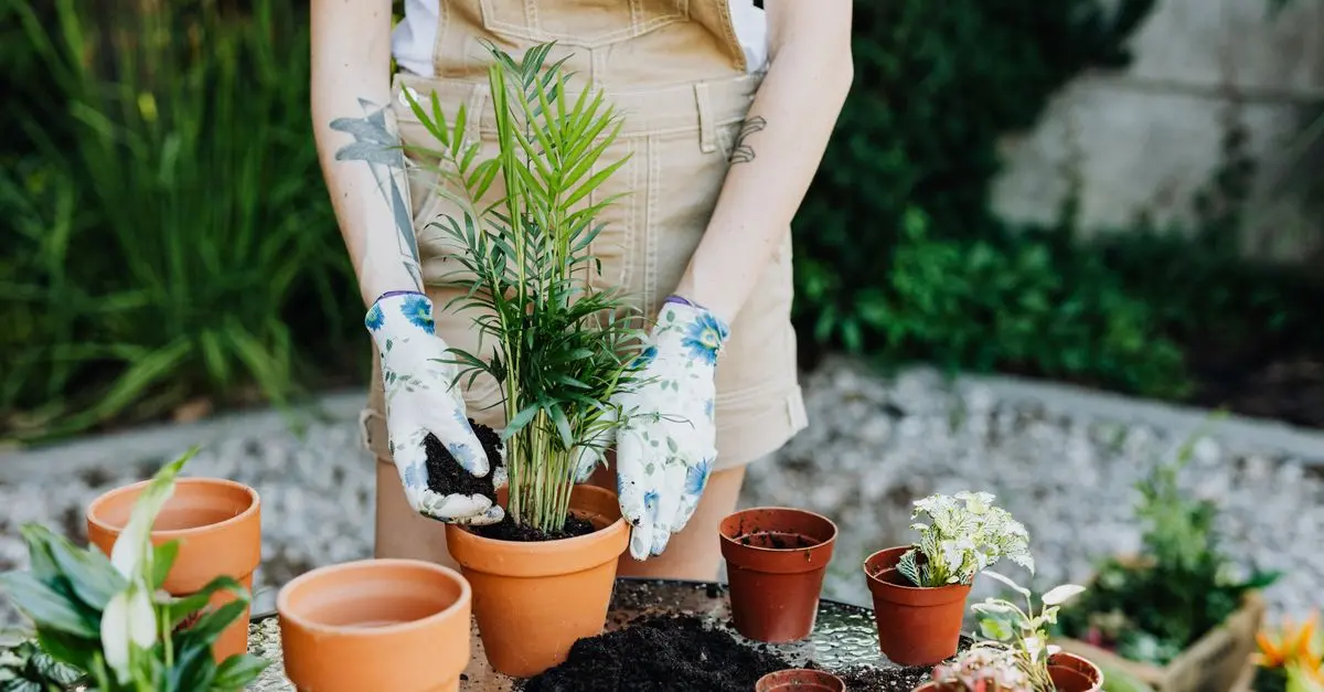 Come Creare un Giardino Verticale Fai Da Te in Pochi Semplici Passi