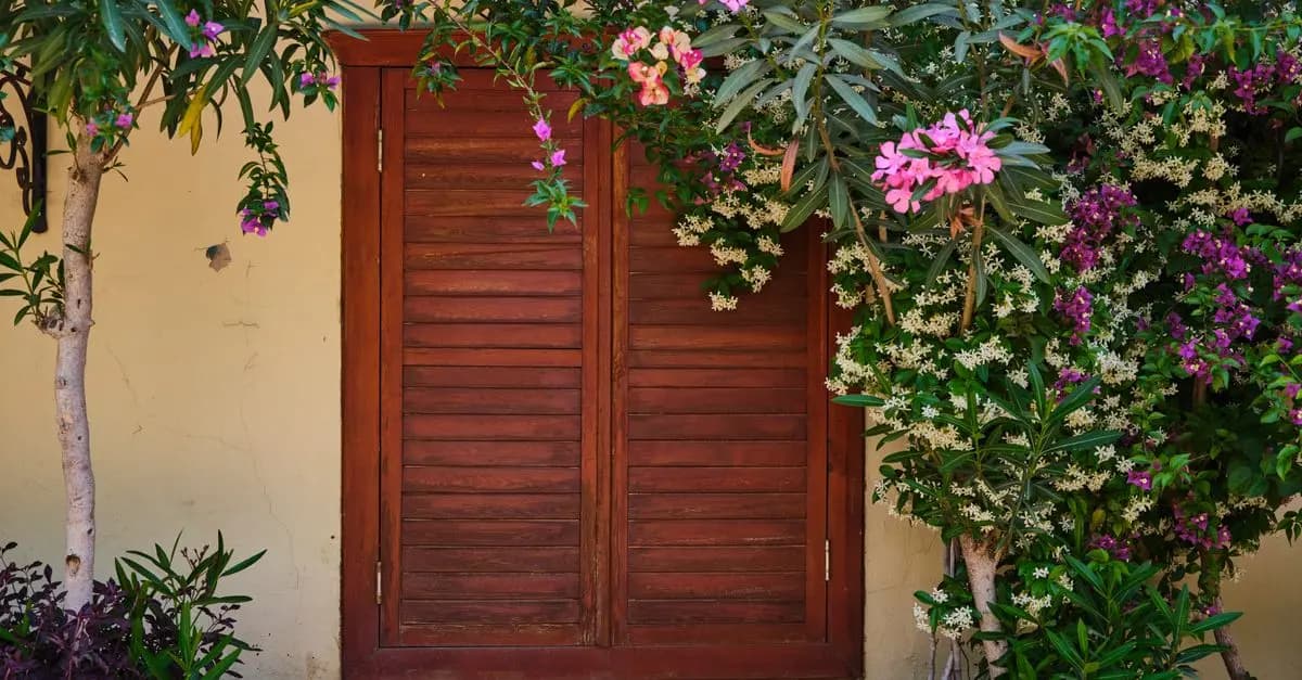Come Creare un Giardino Verticale Fai Da Te: Guida Completa