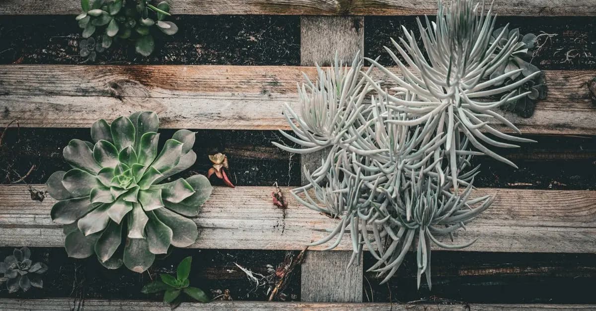 Come Creare un Giardino Verticale Fai Da Te per Spazi Ridotti