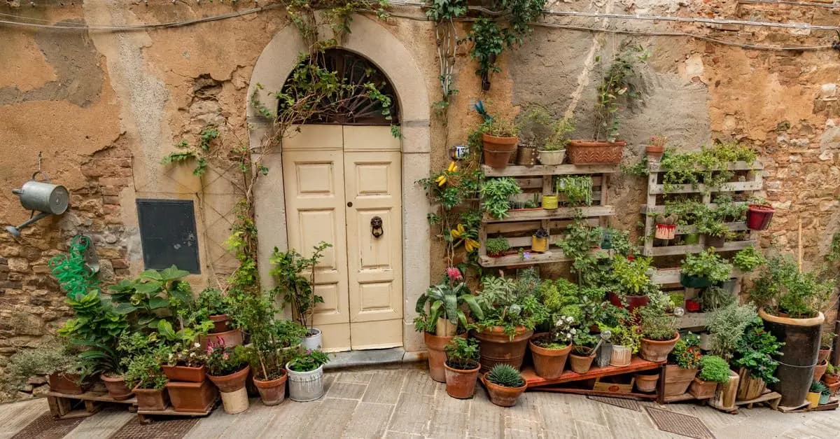 Guida Completa per Realizzare un Giardino Verticale Fai Da Te