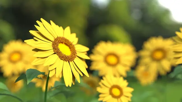 Come Creare un Muro Verde Fai Da Te: Guida Completa