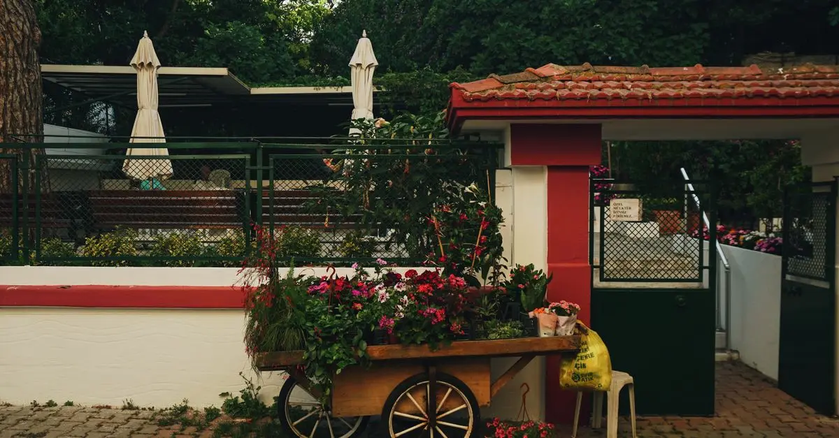 10 Idee Fai Da Te per Creare un Giardino Verticale