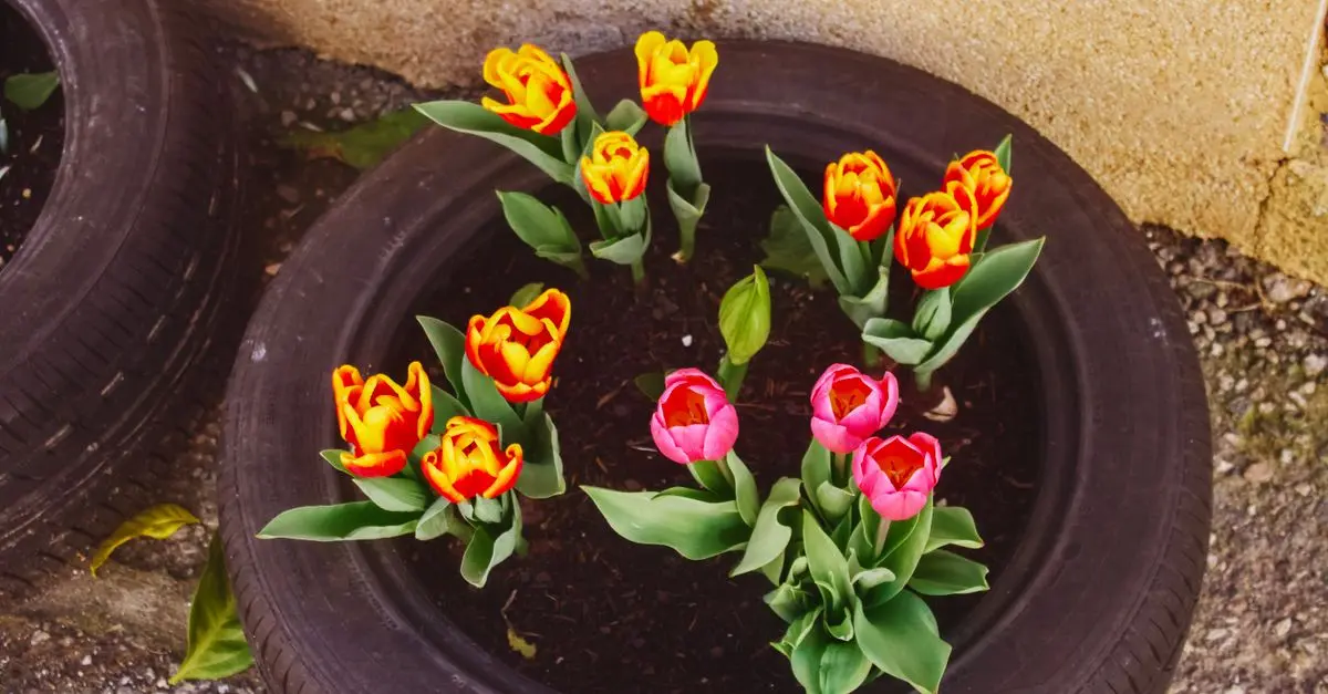 Come Creare una Decorazione Fai Da Te per il Tuo Giardino
