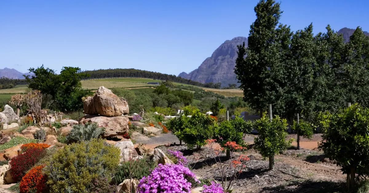 Come Rinnovare il Tuo Giardino Fai Da Te: Idee e Suggerimenti