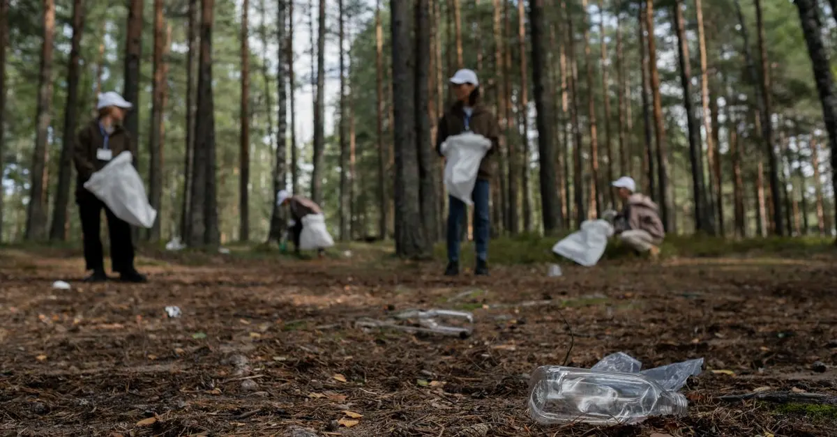 Materiali Eco-sostenibili: Scelte per un Fai Da Te Green