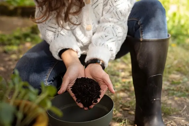 Come Realizzare un Composter Fai Da Te: Guida Pratica