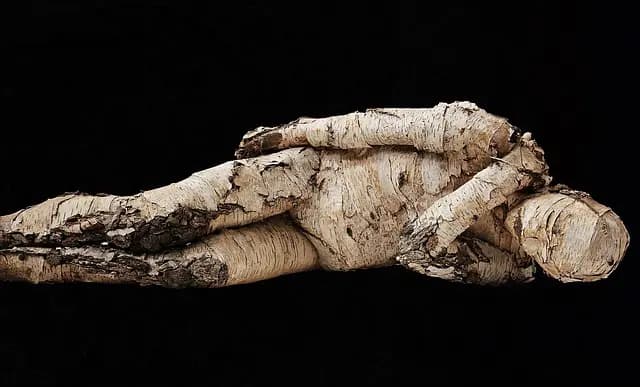 Come Costruire un Giardino Verticale Fai Da Te per Spazi Ridotti