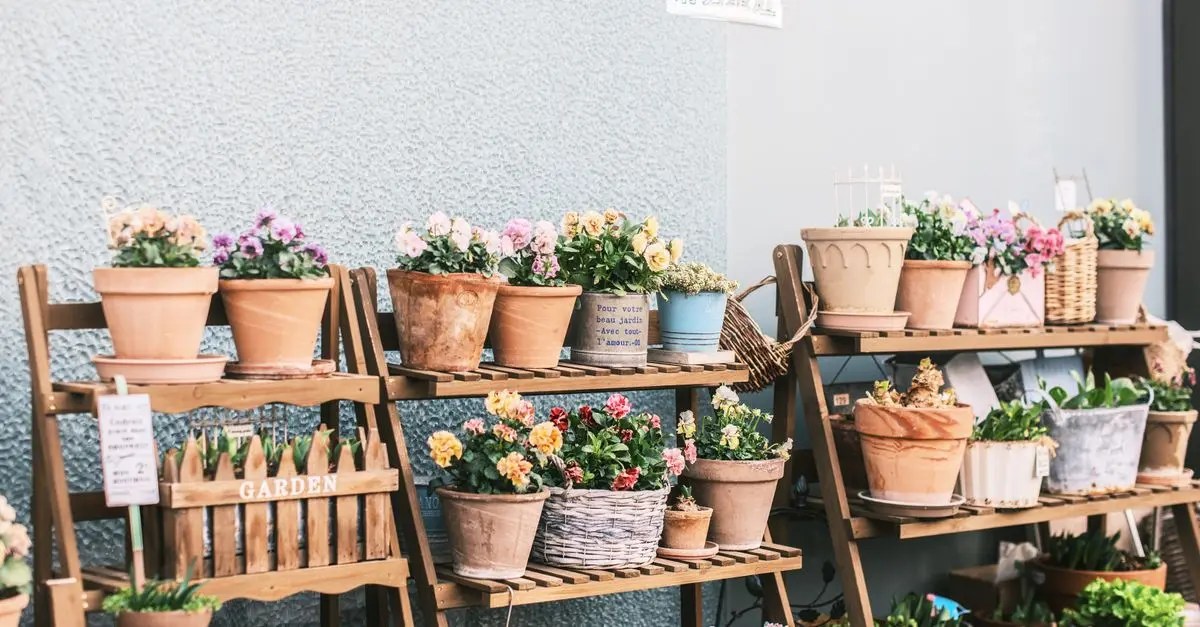Come Creare un Giardino Verticale Fai Da Te per Piccoli Spazi