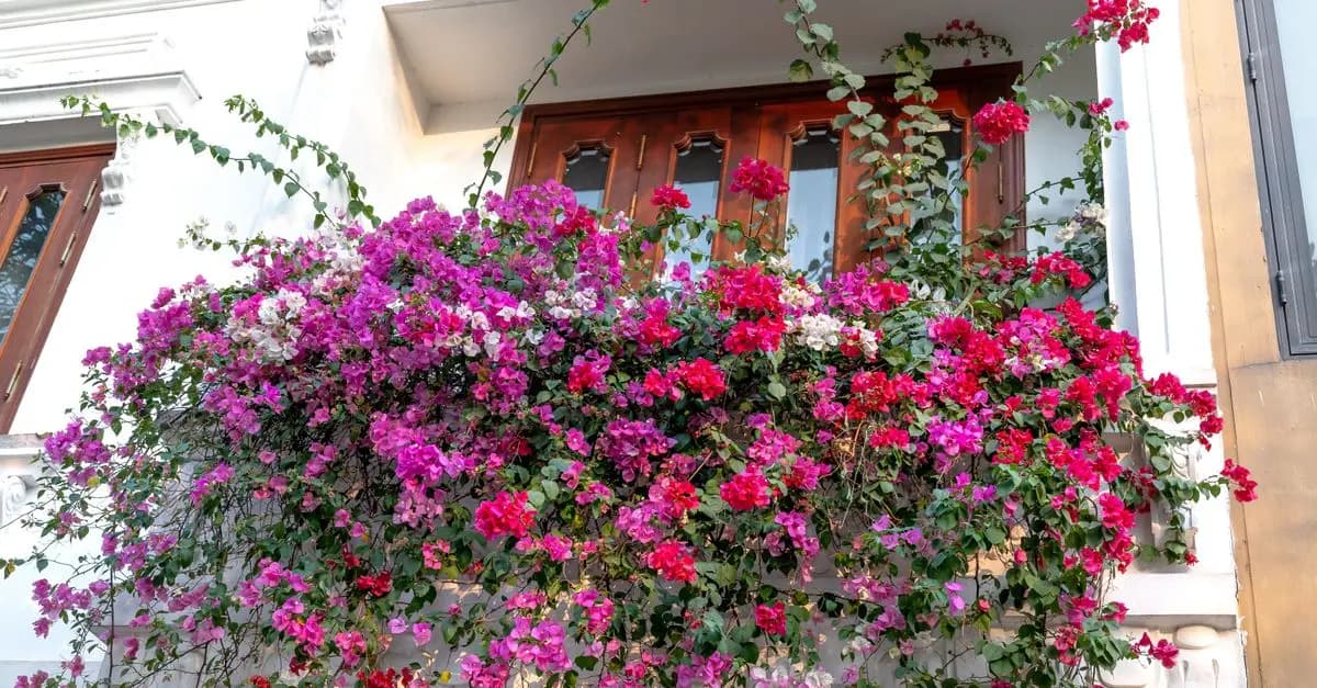 Come Costruire un Giardino Verticale Fai Da Te in Pochi Passi