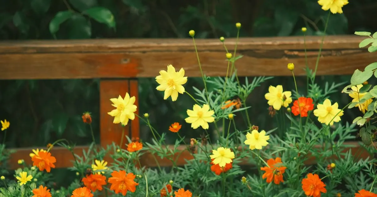 Come Costruire un Giardino Verticale Fai Da Te in 5 Passi