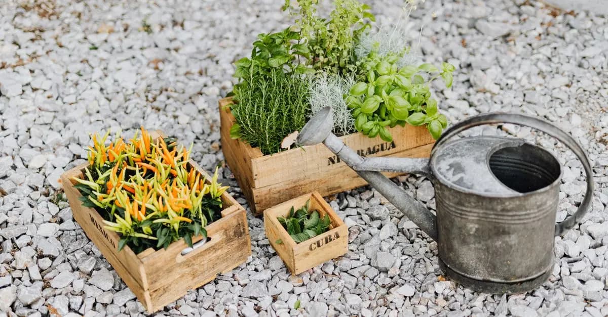Come Creare un Giardino Verticale Fai Da Te per Piccoli Spazi
