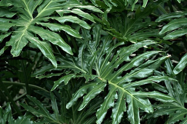 Come Costruire un Orto Verticale Fai Da Te in Giardino