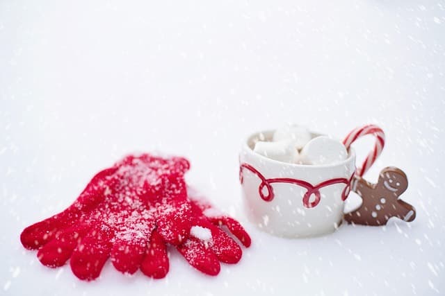 Come Creare una Decorazione Fai Da Te per il Tuo Inverno