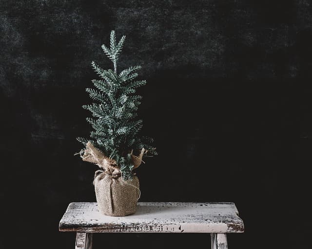 Come Creare una Decorazione Fai Da Te per Natale: Guida Pratica